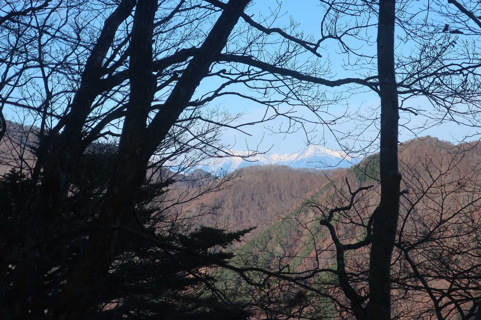木々の間から白峰三山が見えました。