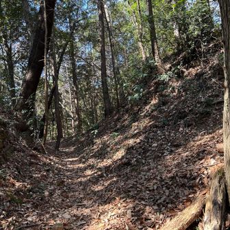 まず最初に大きな(右側)