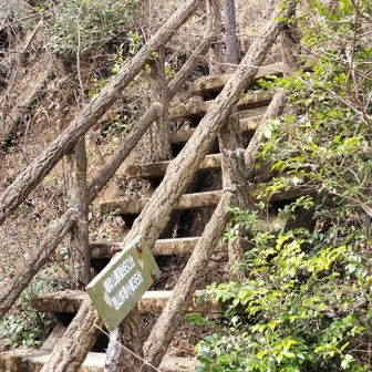 急な所は、階段なの？