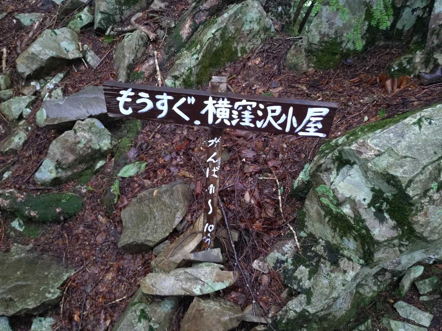嬉しい標識👍