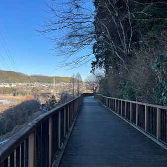 でも日陰は寒かった🧊