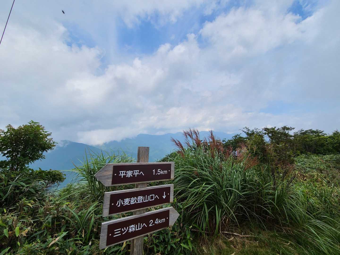稜線に出た‼️
北方面が見えだしたよ。
法皇山脈が指呼の間  ꉂꉂ📢