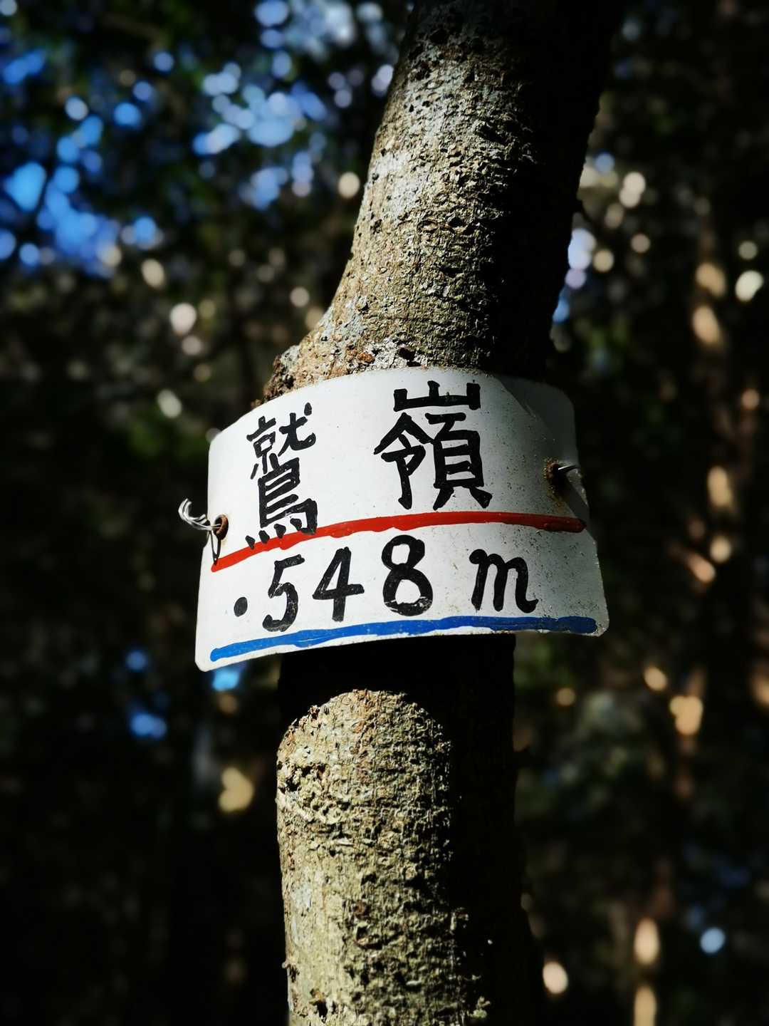 鷲嶺（袴腰山）の写真