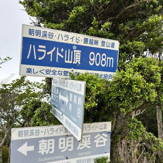 登頂🙌