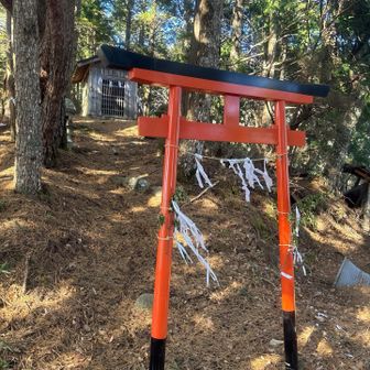 鳥居⛩️が新調された？