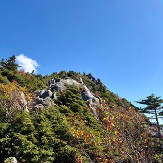 金峰山の産地や方面⛰️
このピークの向こう側が山頂みたいです。
五丈岩が見れずに残念😢