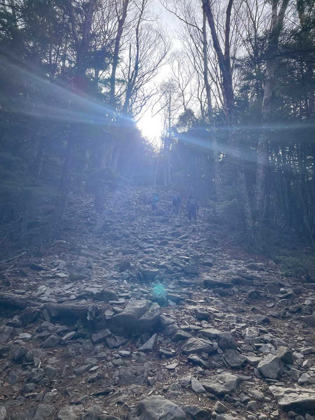 太陽が両手を広げて迎えてくれています🤗