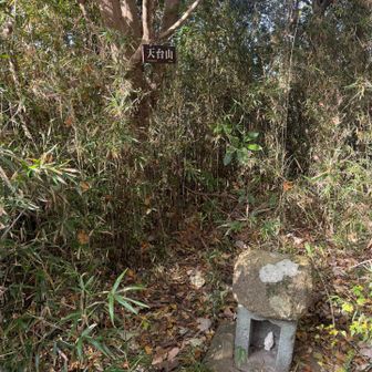 ある意味今回の山行で最初のまともな山頂標だ🤭