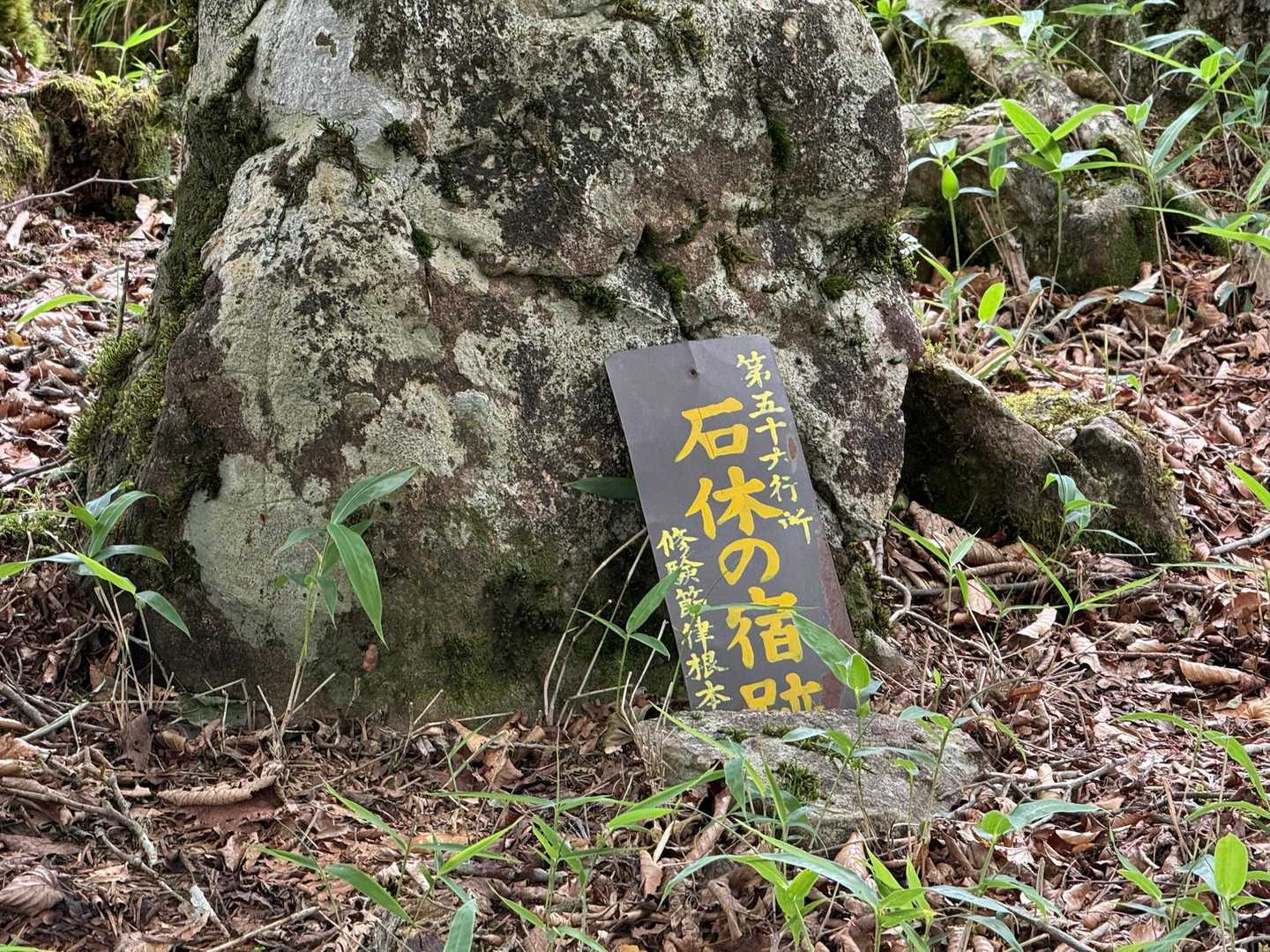 弥山登山口-弁天ノ森-聖宝ノ宿跡-弥山 往復コースの写真