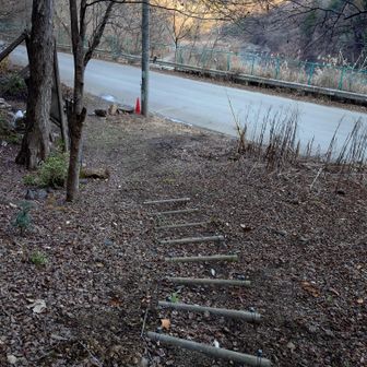 下りてきました～
ここからは鳥屋バス停までひたすら舗装路を歩きます。
（トイレに行きたくなったので、結局鳥居原ふれあいの館バス停まで歩きました😅）