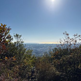 太平洋がキラキラ🤩