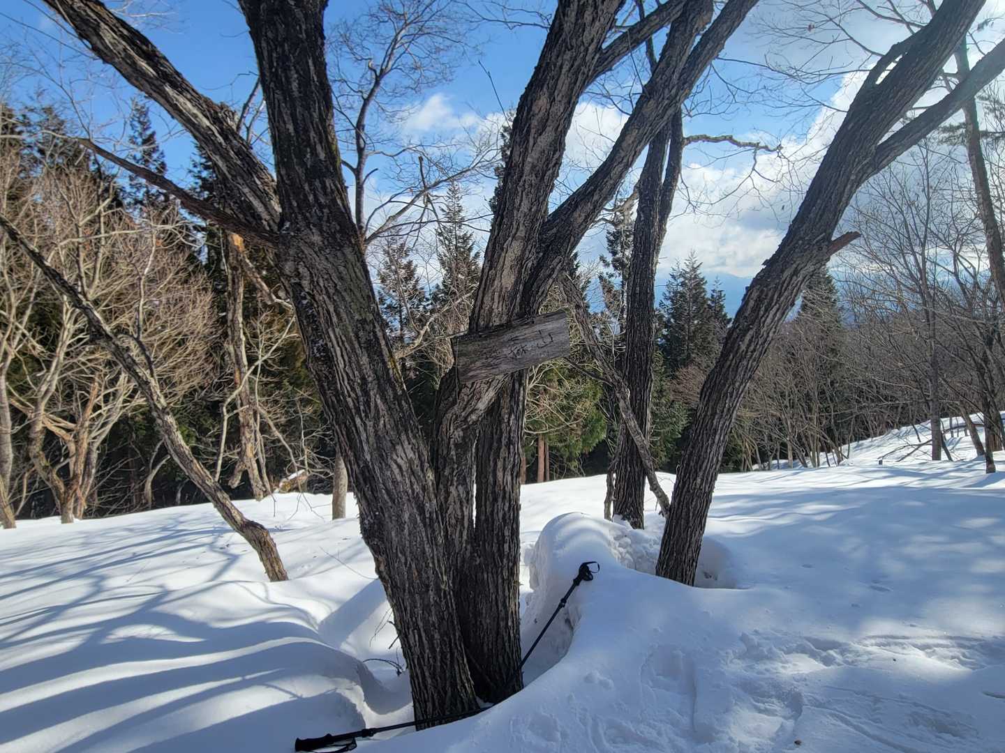 丸森山山頂