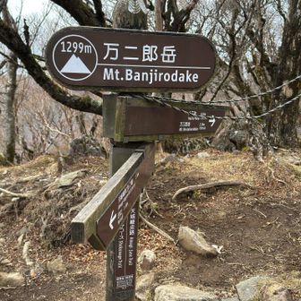 万二郎岳に登頂。
ここまで登山口から1時間ぐらい。