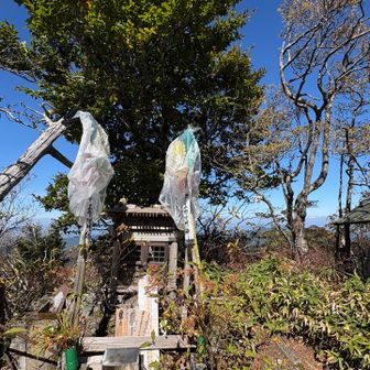 大日山の山頂です。