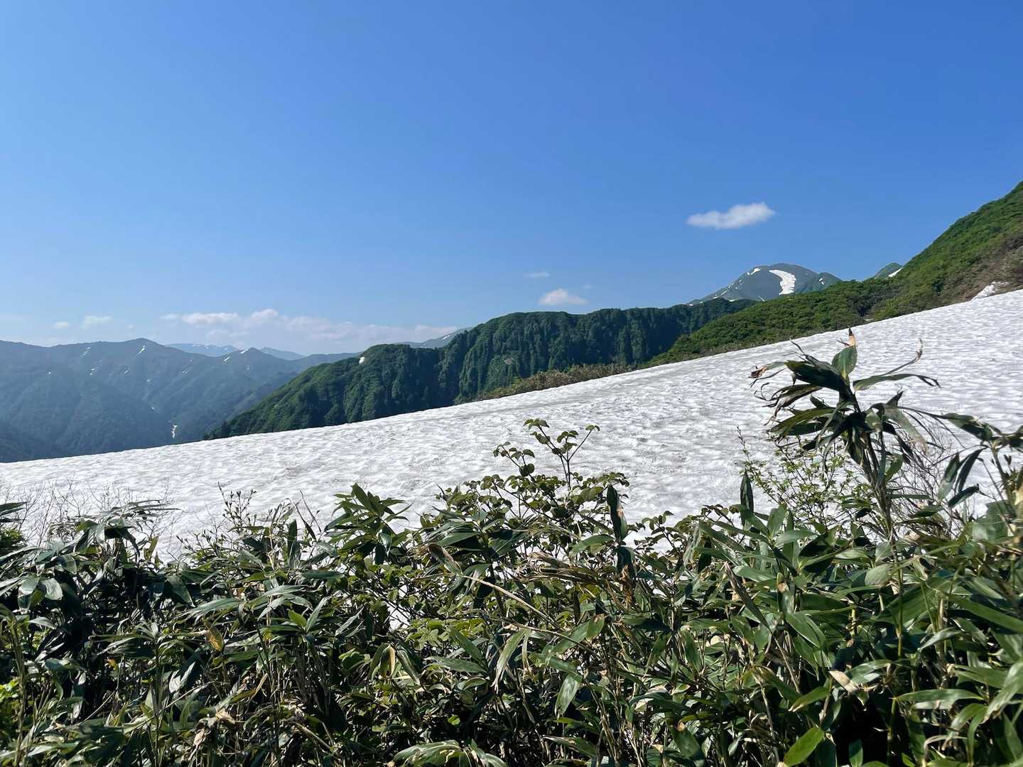 池は雪の下