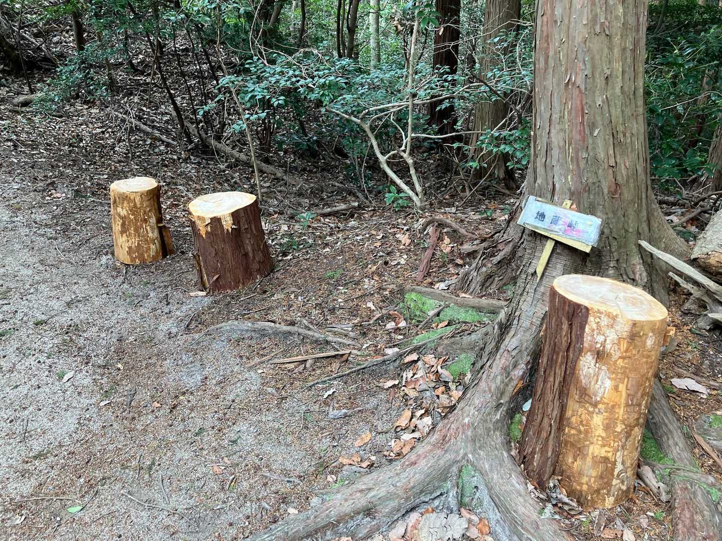 憩いの場になるといいですね。