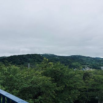 大楠山
