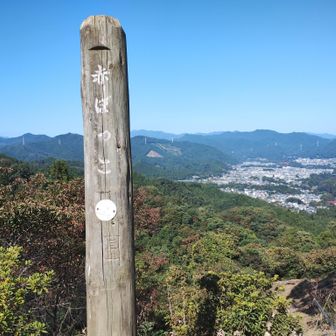 赤ぼっこ着。
