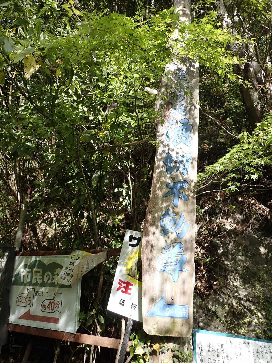 ここからスタート🚶‍♂️