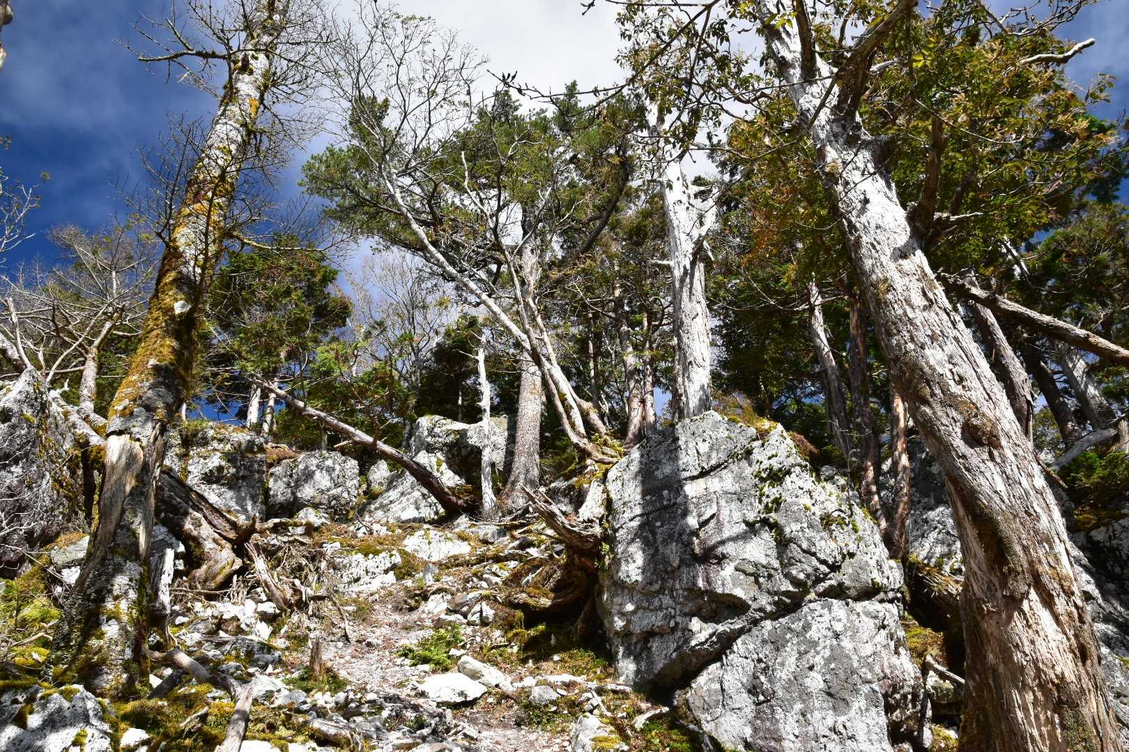 三津河落山（さんづこうおちやま）最高点には巨岩がごろごろ