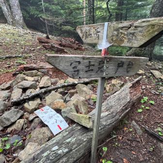半グロッキーになりつつなんとか横岳峠
キャンプ適地なんだとか
➡️に戸台、とあるのが気になる
かつては南北に道が通じた峠だったということなのかな、そしてこれは何年前の道標なんだろう🧐