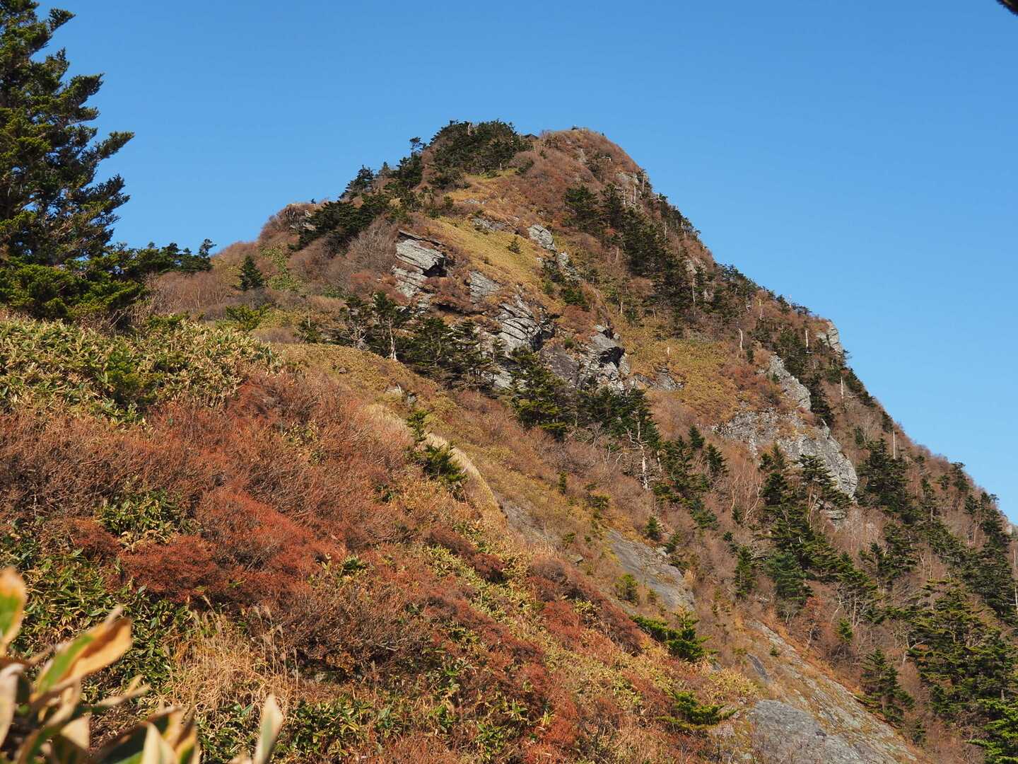 男山の写真