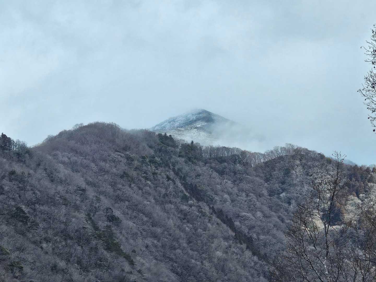 鍋尻山 往復コースの写真
