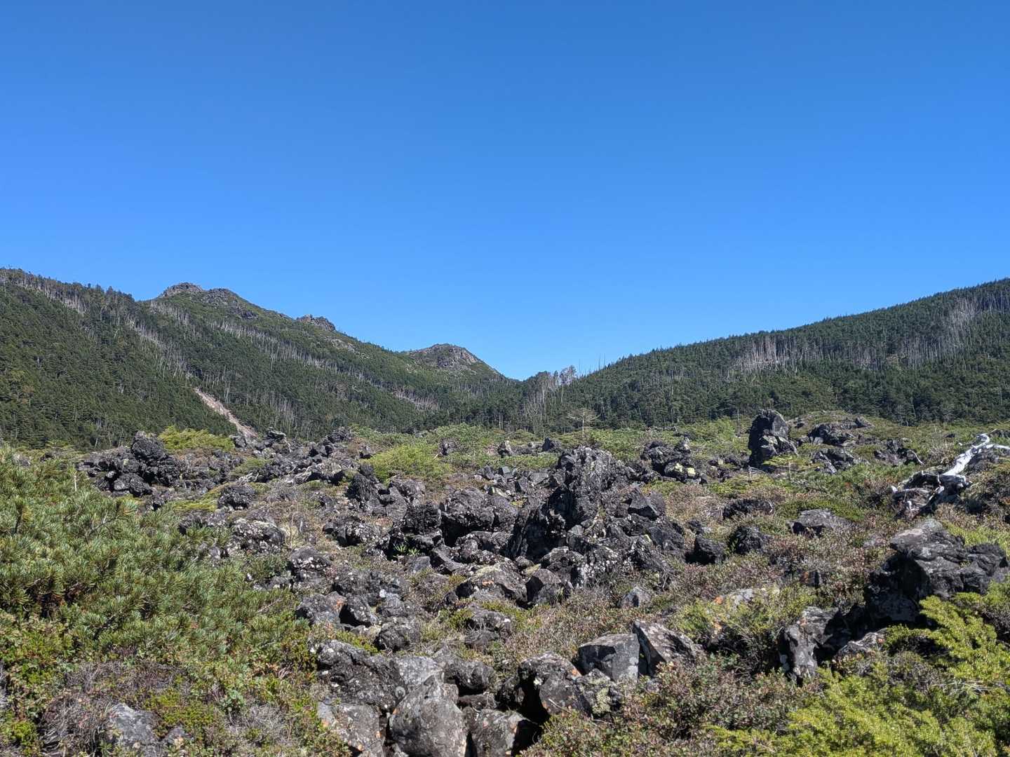 麦草峠-大石峠-中小場-縞枯山-雨池峠-北横岳-七ツ池-山 縦走コースの写真