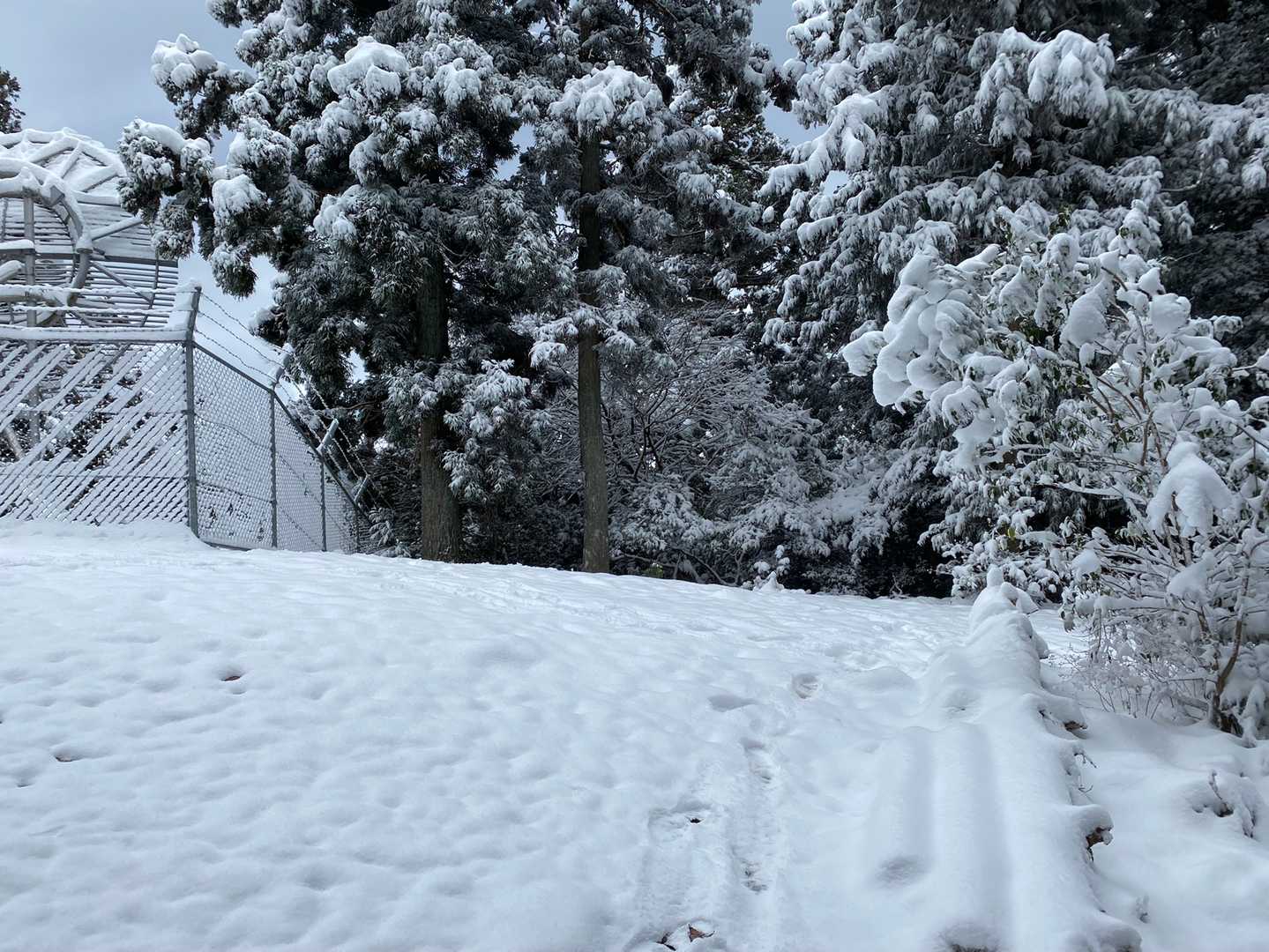 牛松山 往復コースの写真