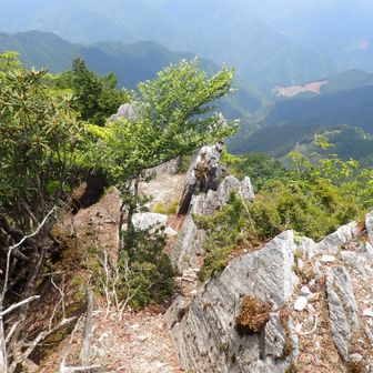 大登岐山の頂上。先客2名いた。高知県側から登られたとのことでいろいろお話しする。