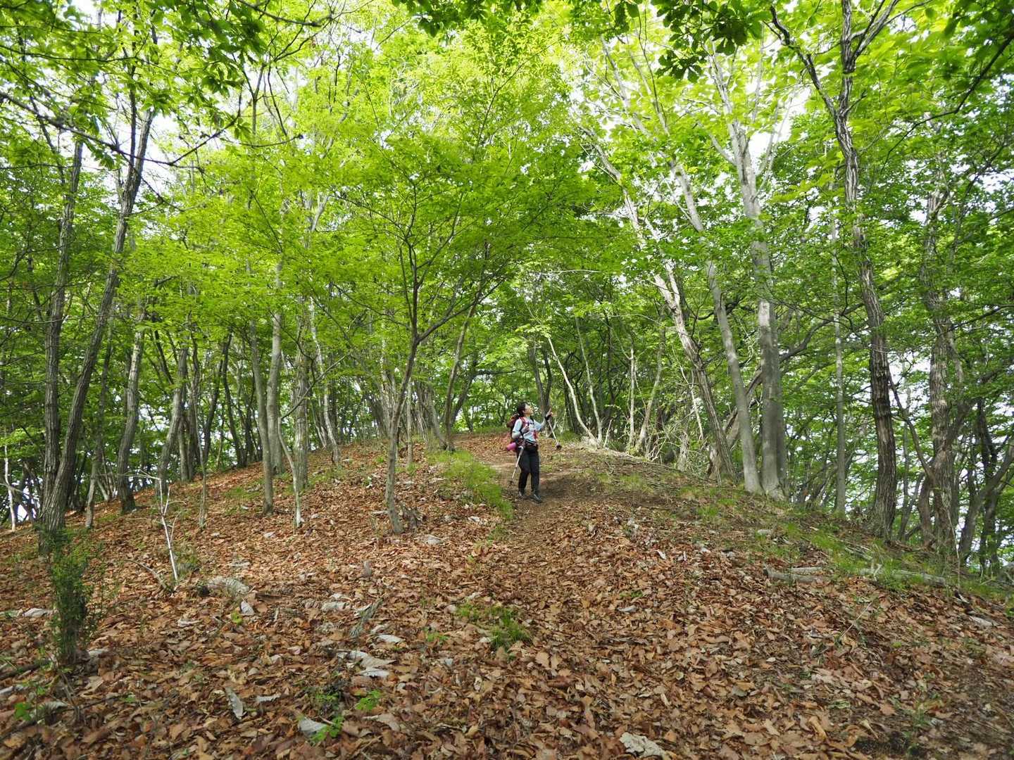 広い尾根