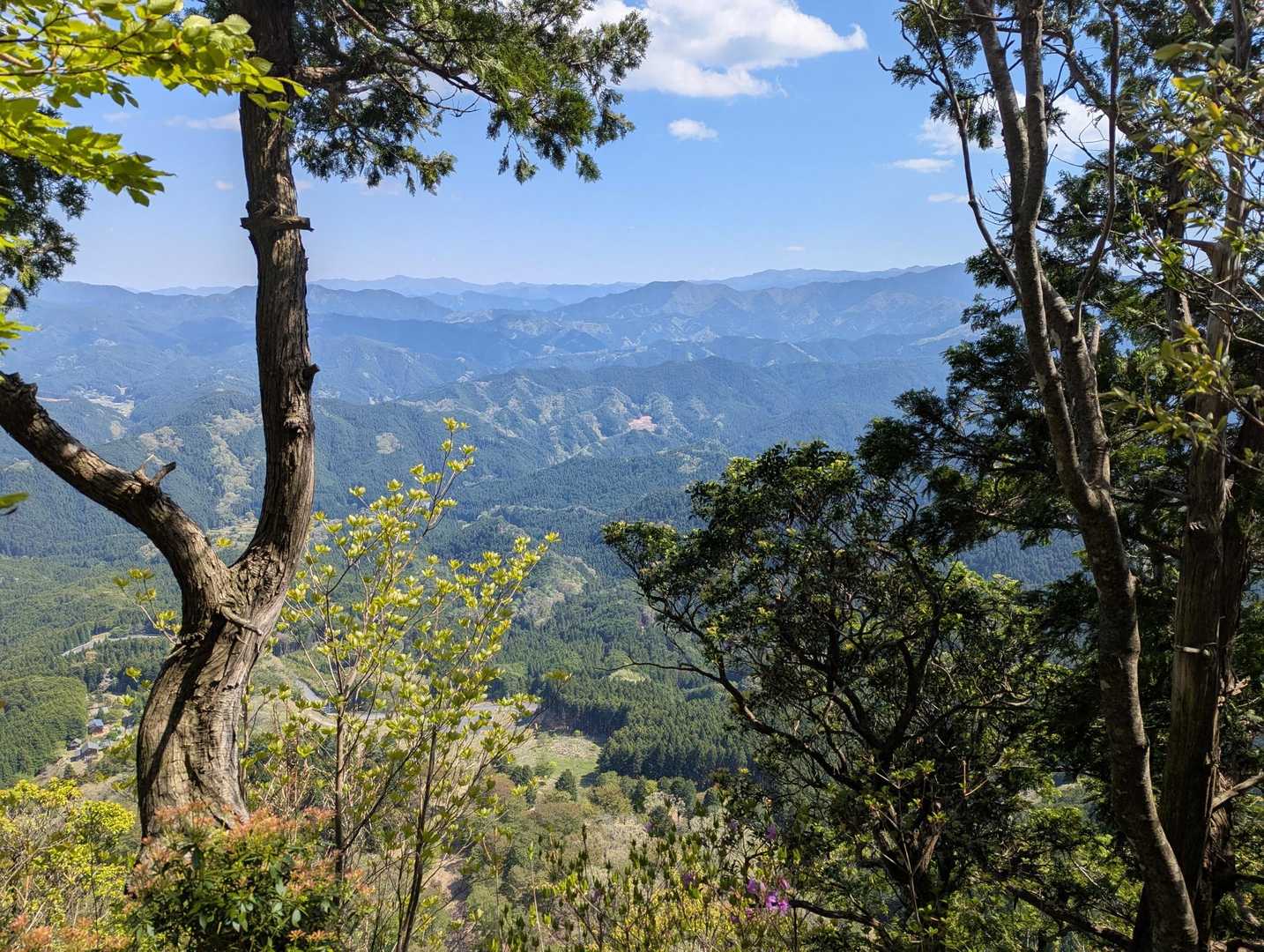 屏風岩公苑登山口-住塚山-国見山-一ノ峰 周回コースの写真