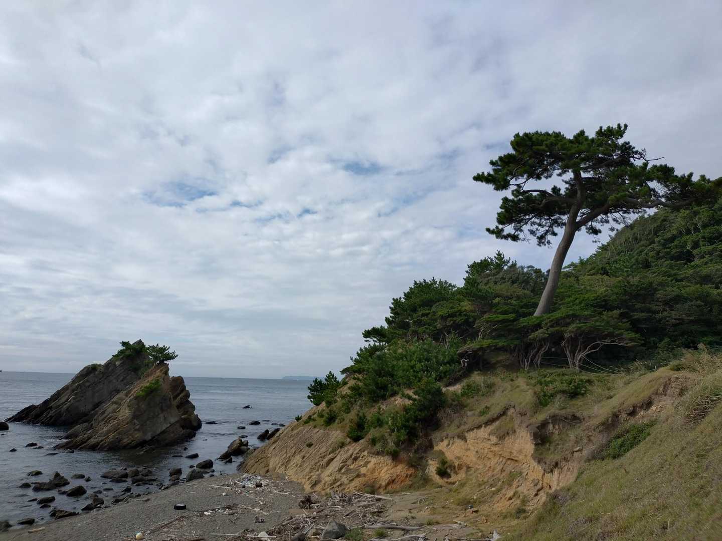 野奈浦桟橋-タカノス山-第3砲台跡 周回コースの写真