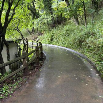 周回コースに戻る