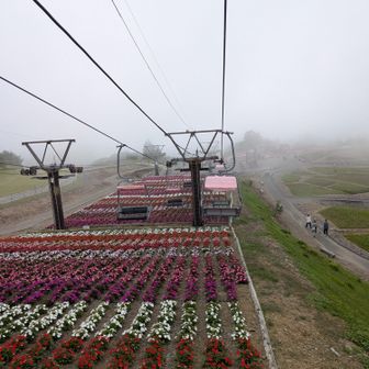 下りもリフト🚠
ブ、ブルジョワじゃ⋯！！