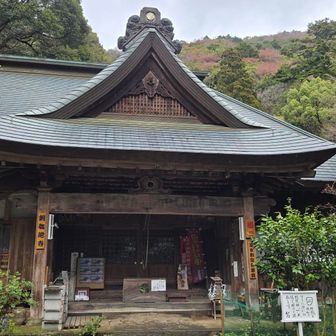 ゆったりした阿弥陀寺。いいですね。