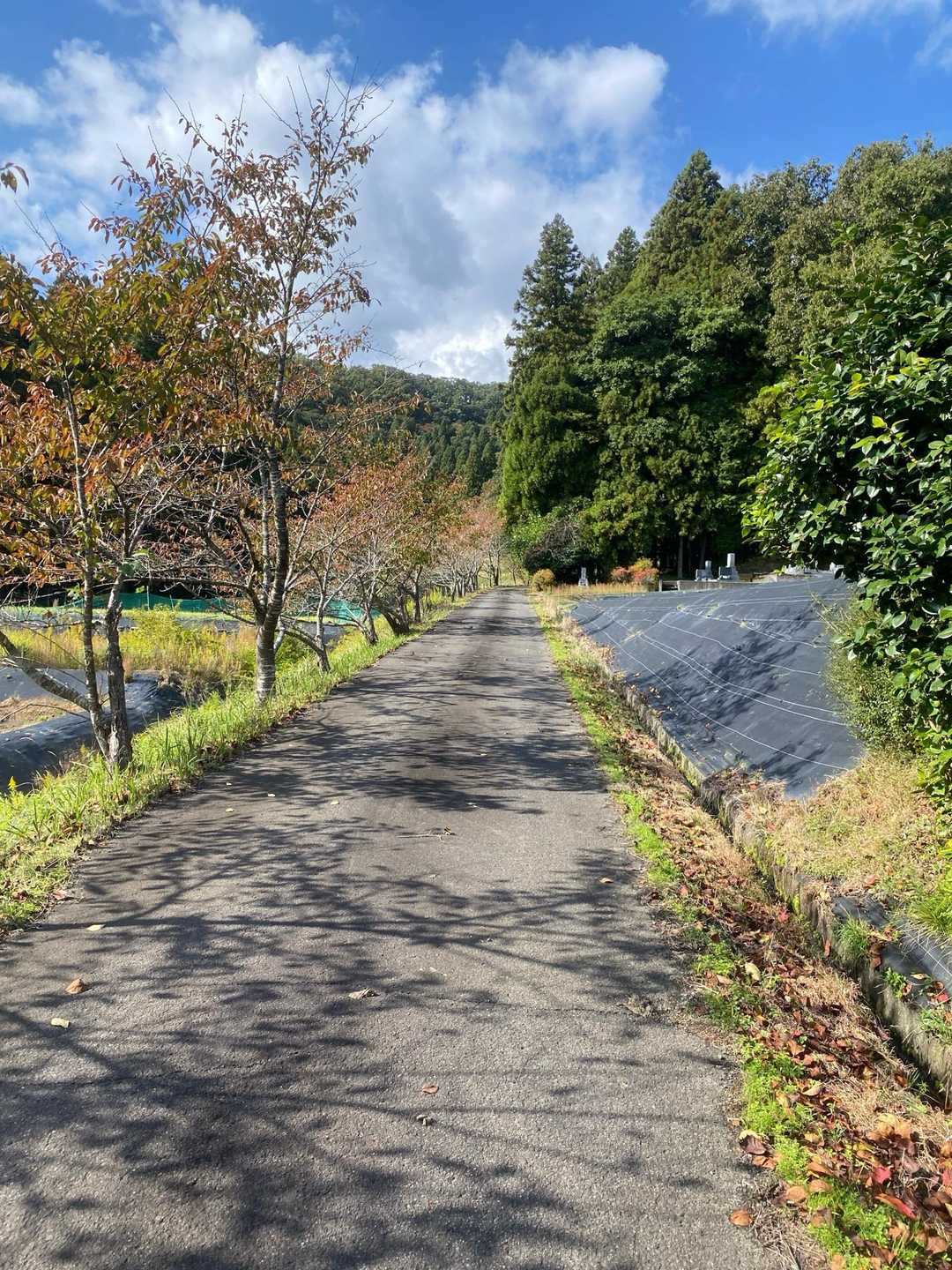 ほんま暑いくらいええ天気やわ☀️