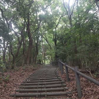 足腰の衰えを痛感させられる