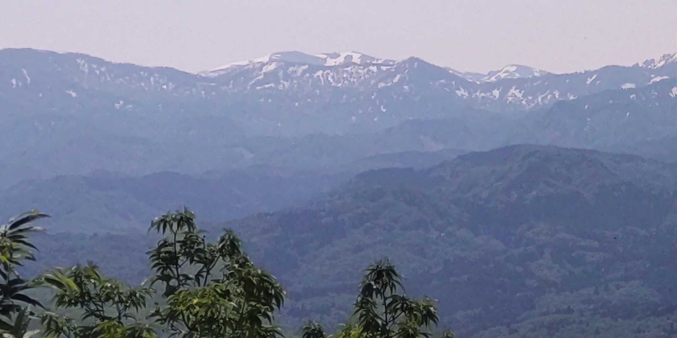 浅草岳かな