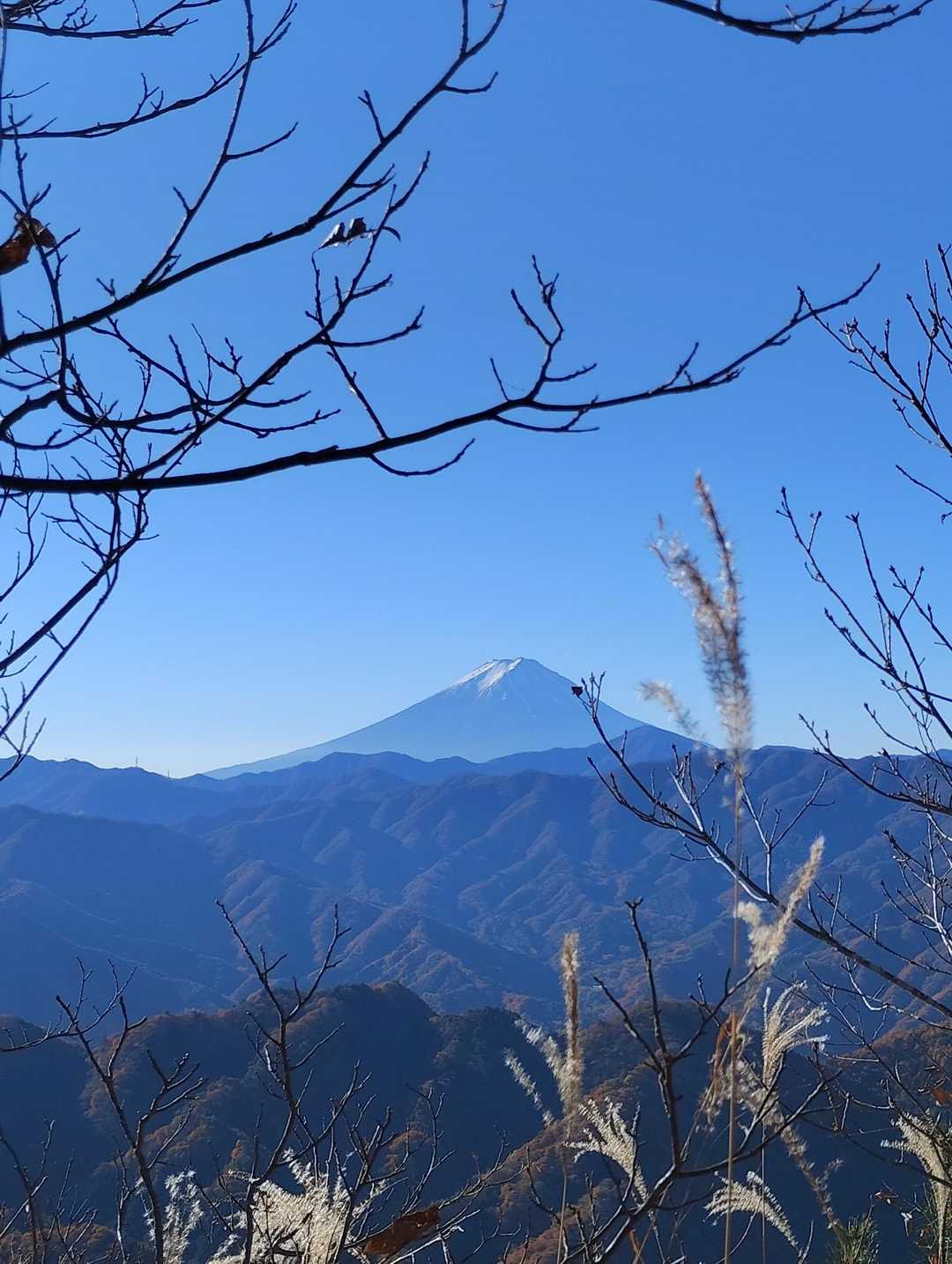 棚横手山-宮宕山-甲州高尾山 周回コースの写真