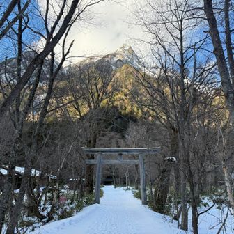 神社に着きましたー⛩️