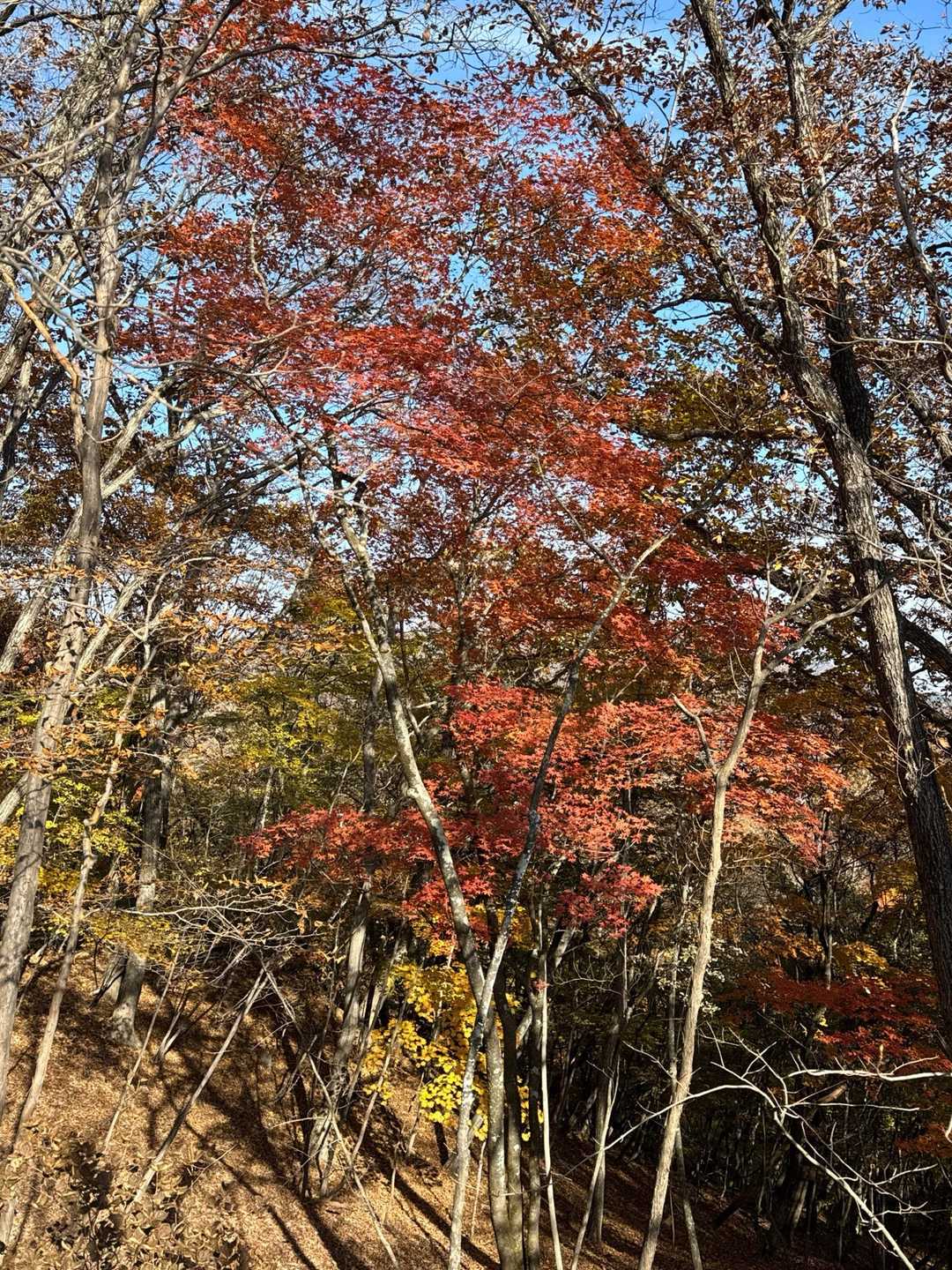 立岩 往復コースの写真
