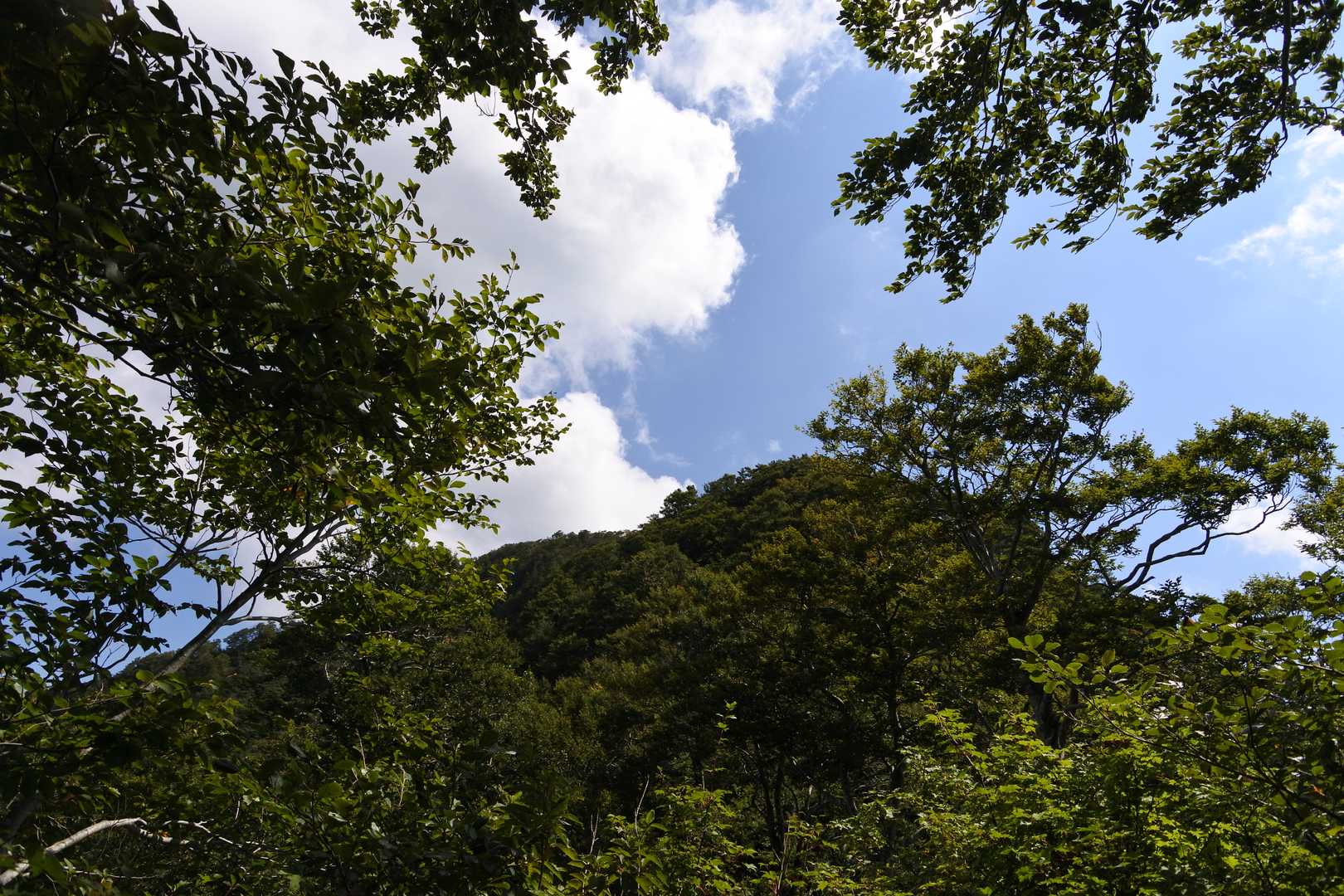 あれが山頂か❓