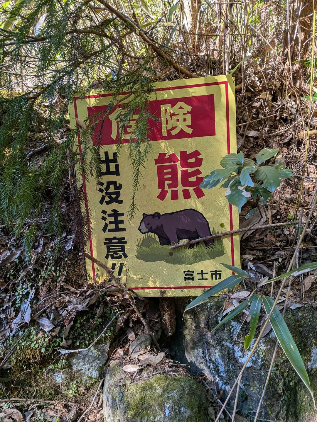 大岳 往復コースの写真