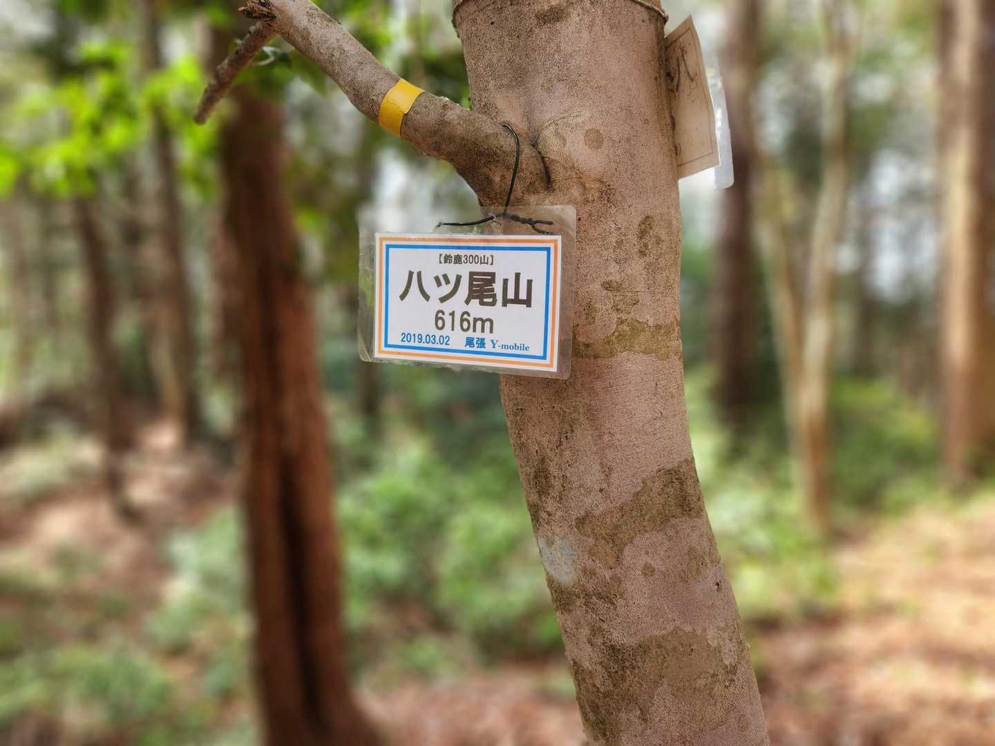 八ツ尾山到着
