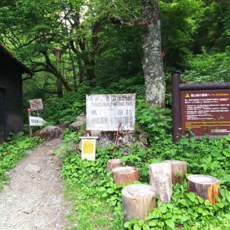車まで歩きましょう。