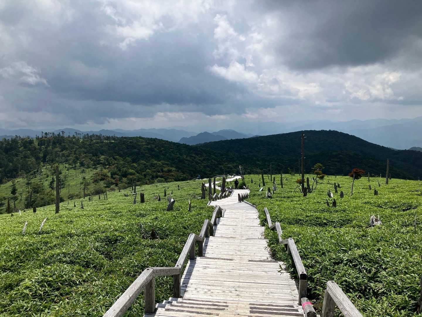 大台ヶ原バス停-大台ヶ原山-尾鷲辻-大蛇グラ 周回コースの写真