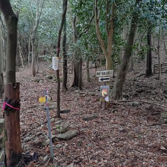 登山口　まったく雪なし🤣
行っきまーす💪