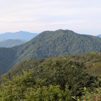 小俣集落を挟んで、すぐお向かいの皆ケ沢という山のよう、肉眼では鉄塔が見えます