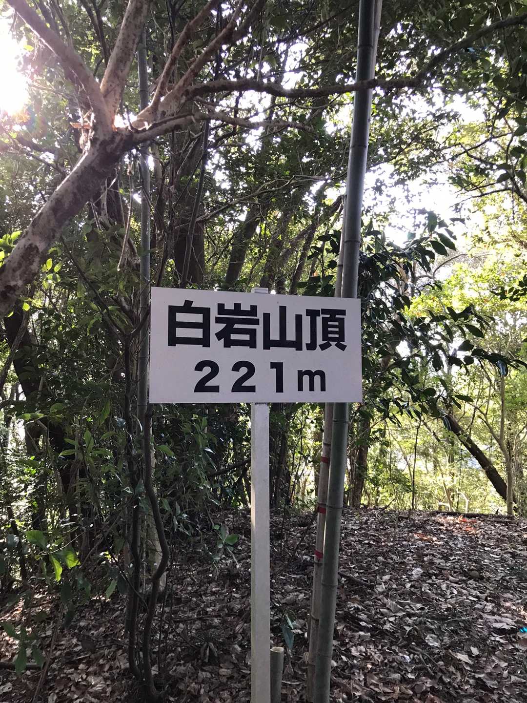 展望はない小さな広場。
読書のこと、ドラマのことなど話題は尽きません。